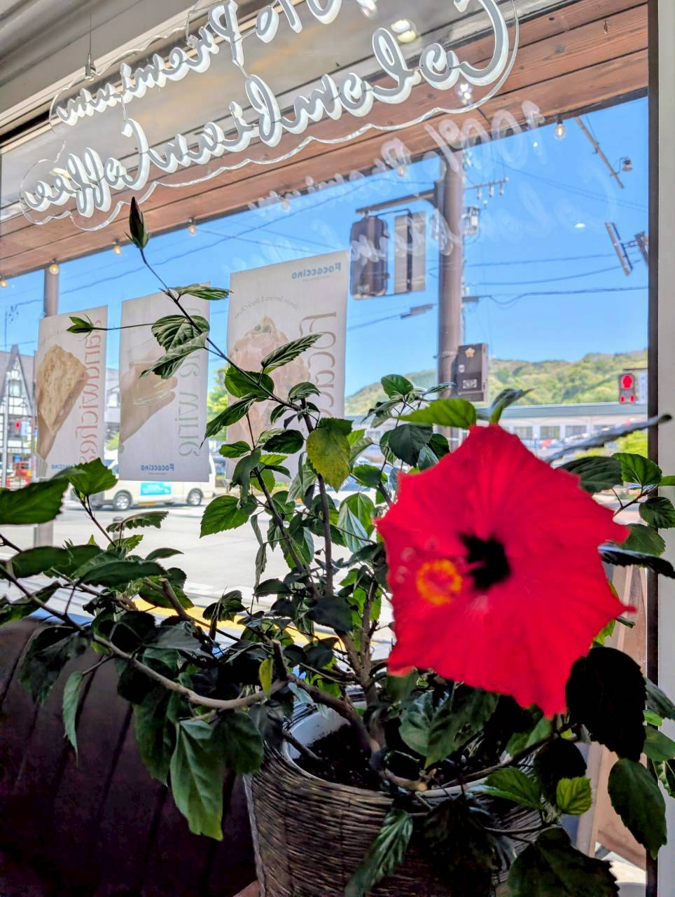 Vivid red hibiscus flower by the cafe window with the neon Caffe sign and Hakuba Station beyond — Focaccino Hakuba