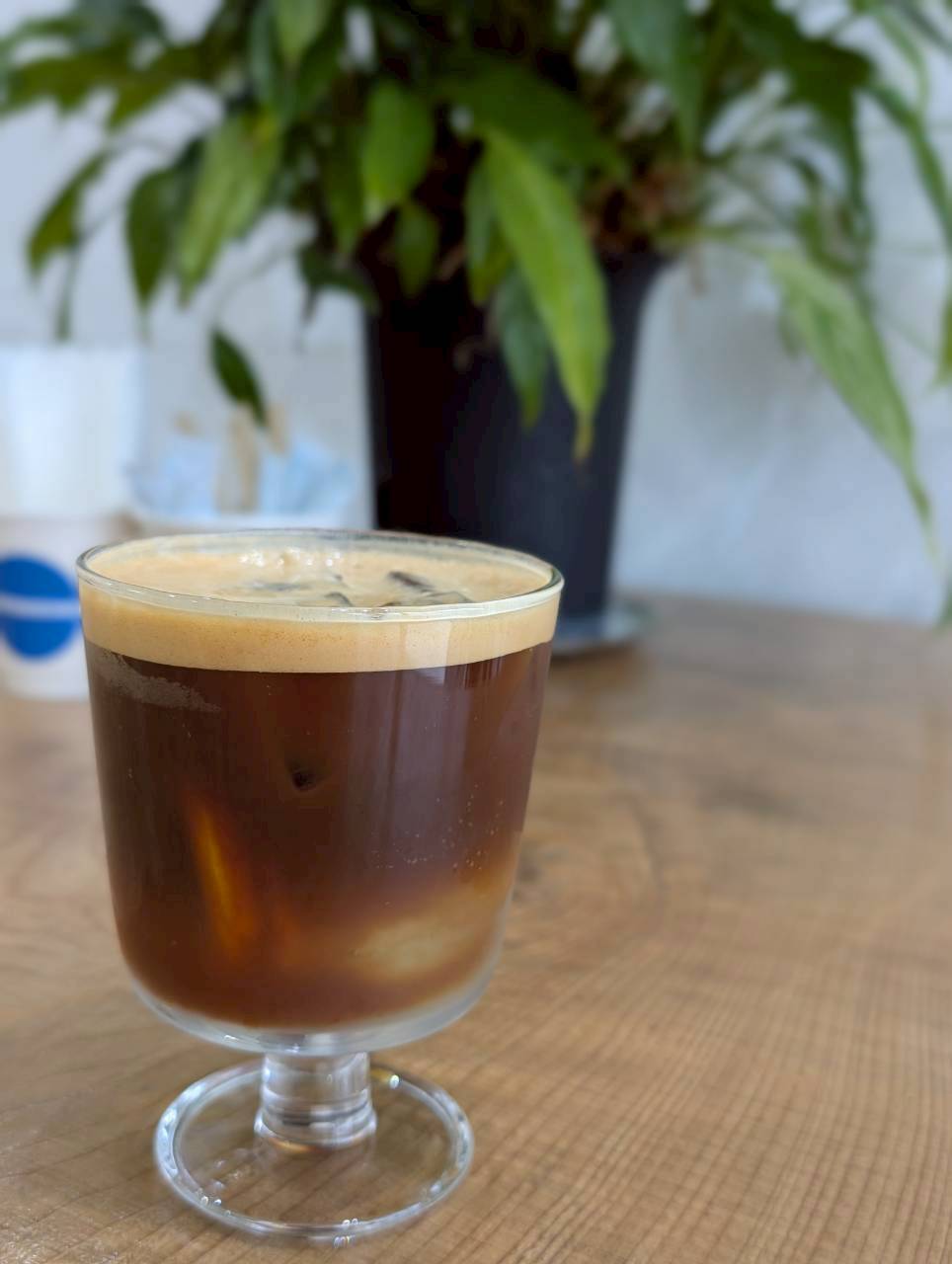 Iced cold-brew coffee with a rich crema served in a stemmed glass beside a plant — Focaccino Hakuba